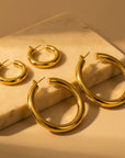 Classic Hoop Earrings