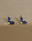 Jolie Earrings Set - Kallesia